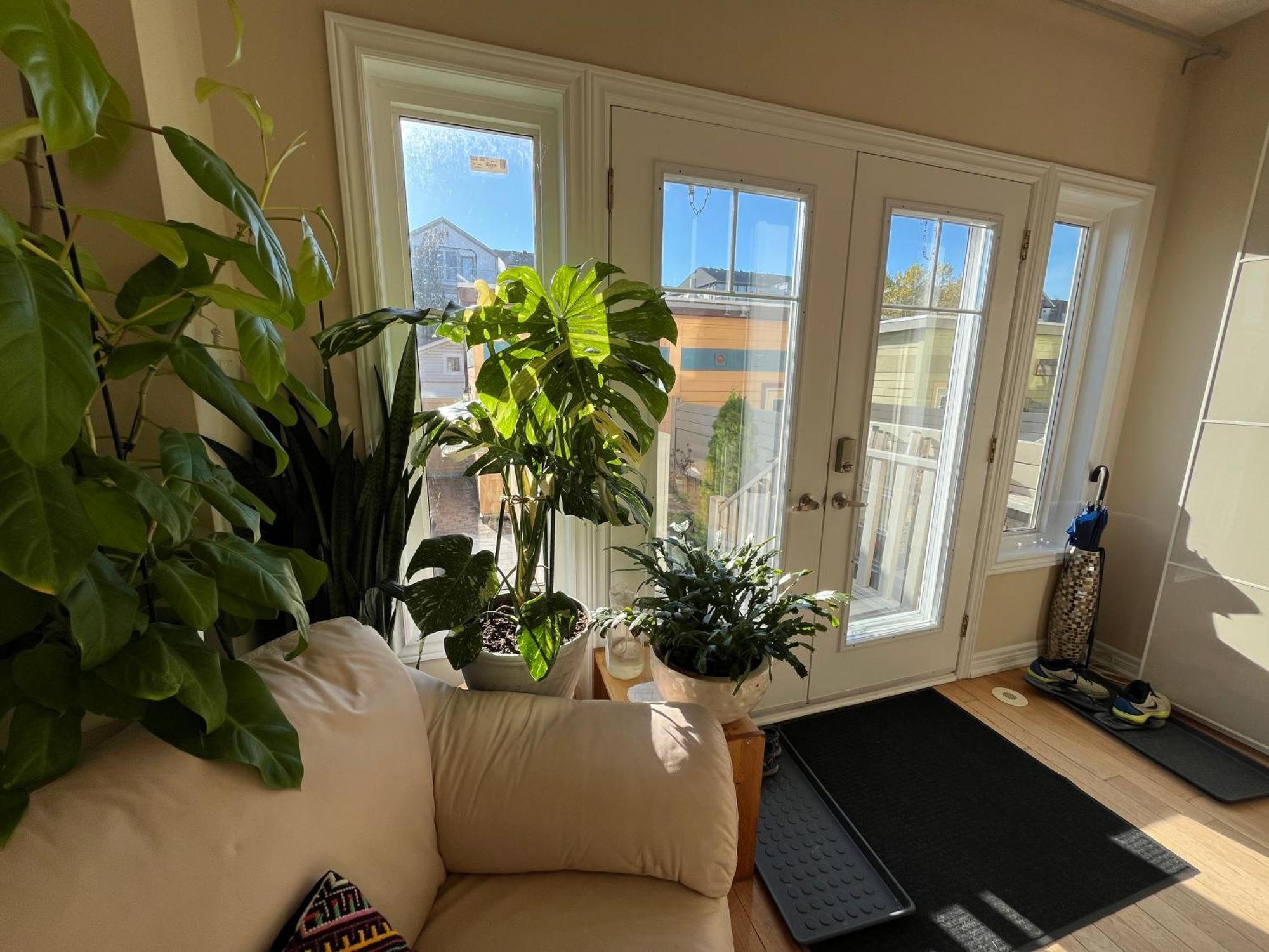 Stunning Rooms In Townhouse Across The Beach Τορόντο Εξωτερικό φωτογραφία